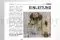 [G_DE_SF-DB-2_E] Business file 2 &laquo;Wedding in Preserved&raquo; 2