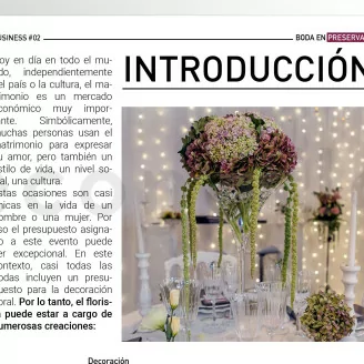 [G_ES_SF-DB-2_E] Dossier business 2 - &laquo;Mariage en stabilis&eacute;&raquo;