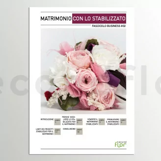 [G_IT_SF-DB-2_E] Business file 2 &laquo;Wedding in Preserved&raquo;