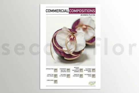 [G_P_SF-DB-4_E] Business file 4 - «Commercial Compositions»