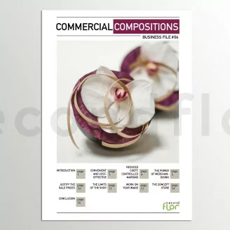 [G_EN_SF-DB-4_E] Fascicolo aziendale 4 - &laquo;Compos Commerciali&raquo;