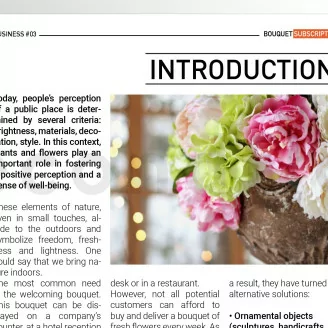 [G_EN_SF-DB-3_E] Dossier business 3 - &laquo;Abonnement bouquet&raquo;