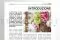[G_IT_SF-DB-3_E] Business file 3 &laquo;Bouquet Subscription&raquo; 2
