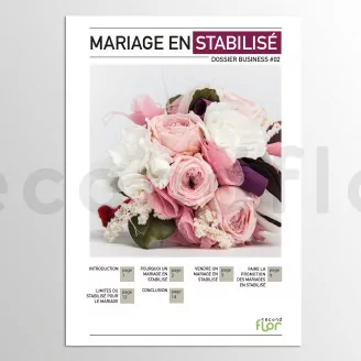 [G_FR_SF-DB-2_E] Dossier business 2 - &laquo;Mariage en stabilis&eacute;&raquo;