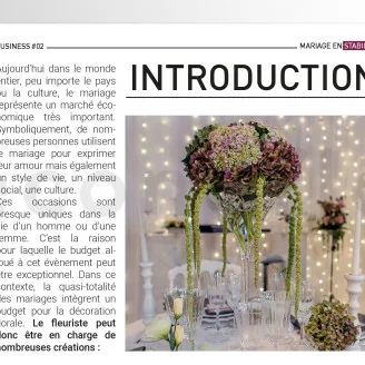 [G_FR_SF-DB-2_E] Business file 2 &laquo;Wedding in Preserved&raquo;