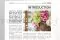 [G_FR_SF-DB-3_E] Business file 3 &laquo;Bouquet Subscription&raquo; 2
