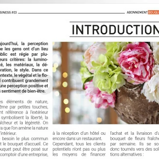 [G_FR_SF-DB-3_E] Dossier business 3 - &laquo;Abonnement bouquet&raquo;