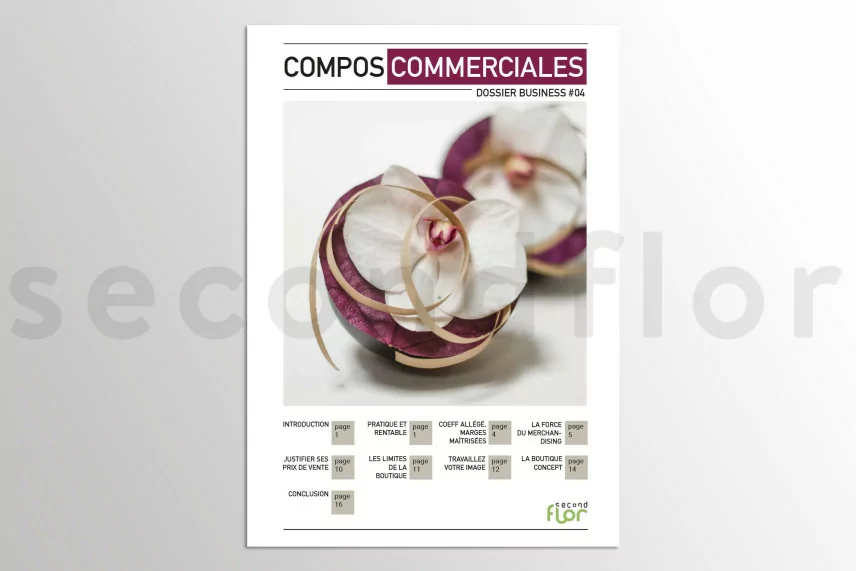[G_FR_SF-DB-4_E] Dossier business 4 - &laquo;Compositions commerciales&raquo;