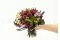 Preserved Scabiosa stellata Pink (x10) 11