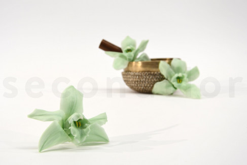 Orchidée Cymbidium Stabilisée - Boîte de 3 - Vert