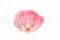 Rose stabilis&eacute;e XXL Rose D&eacute;grad&eacute; 3