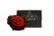 Rose stabilis&eacute;e XXL Rouge d&eacute;grad&eacute; 6