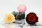 Preserved Rose XXL Tie N Dye Red 9
