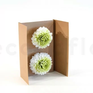 Dalia Grace preservada Verde (x2)