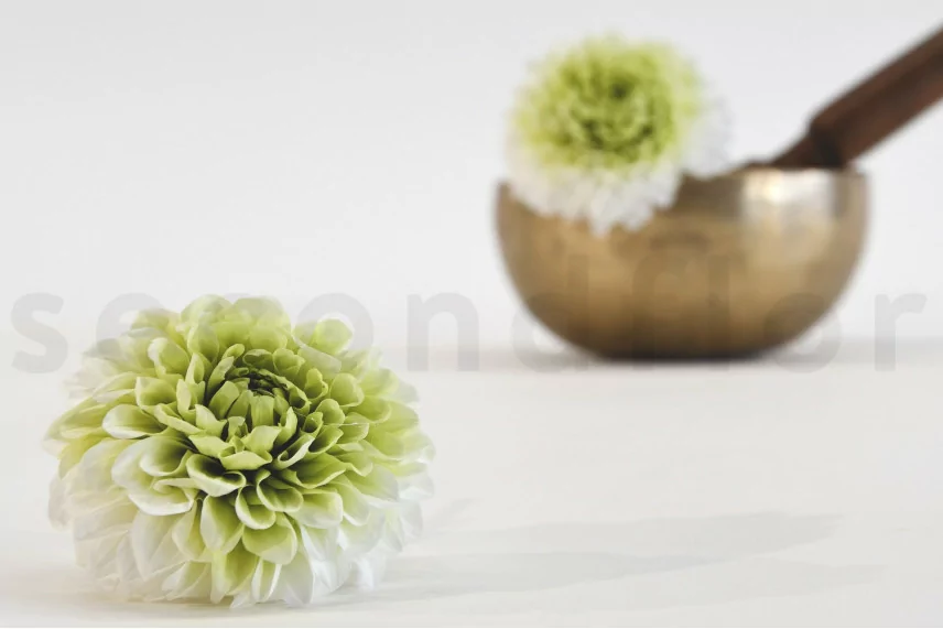 Dalia Grace preservada Verde (x2)