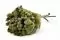 Preserved Brunia Albiflora Natural 3