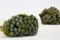 Brunia Albiflora preservada Natural 5