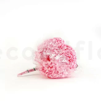 Preserved Hydrangea Pastel Pink