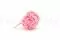 Hortensia preservado Rosa Pastel 6