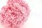 Hortensia preservado Rosa Pastel 7
