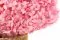 Preserved Hydrangea Pastel Pink 5