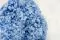 Preserved Hydrangea Light Blue 6