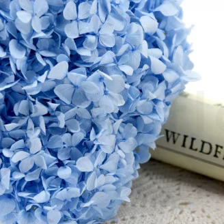 Preserved Hydrangea Light Blue
