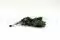 Konservierter Pittosporum tenuifolium 5