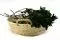 Preserved Pittosporum Tenuifolium 2