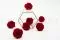 Rosa stabilizzata XL Rosso - Grande formato (x378) 6