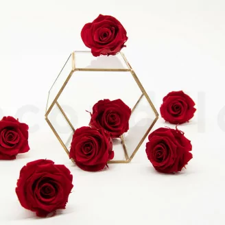 Rose stabilis&eacute;e XL Rouge - Vrac (x432)
