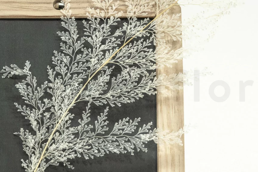 Foug&egrave;re Dentelle stabilis&eacute;e Blanc