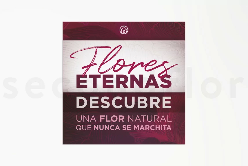 Flyer &laquo;Flores Eternas&raquo; (x100)