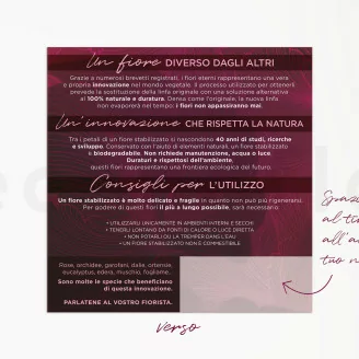 Volantino &laquo;Fiori Eterni&raquo; - Disponibile in 5 lingue (x100)