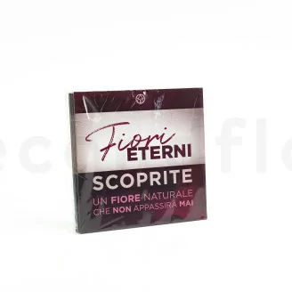 Volantino &laquo;Fiori Eterni&raquo; - Disponibile in 5 lingue (x100)