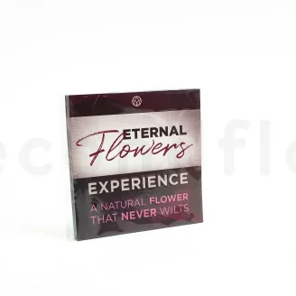 Flyer &laquo;Eternal Flowers&raquo; (x100) Available in 5 languages