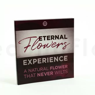 Flyer &laquo;Eternal Flowers&raquo; (x100) Available in 5 languages