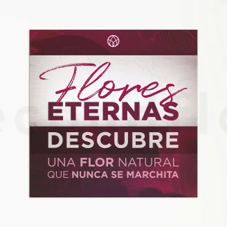 Flyer &laquo;Flores Eternas&raquo; (x100) Disponible en 5 idiomas
