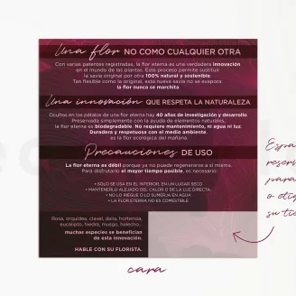 Flyer &laquo;Flores Eternas&raquo; (x100) Disponible en 5 idiomas
