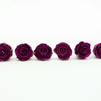 Rosa preservada XL Morado Ciruela (x6)