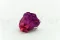 Rose stabilis&eacute;e XL Prune (x6) 6