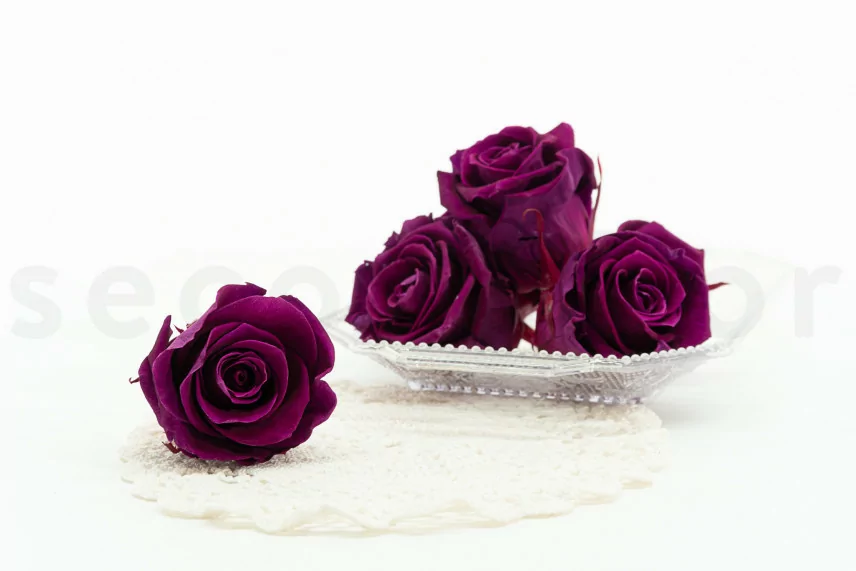 Rose stabilis&eacute;e XL Prune (x6)