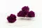 Rosa preservada XL Morado Ciruela (x6) 1