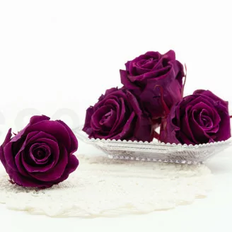 Rose stabilis&eacute;e XL Prune (x6)