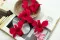 Orchidea dendrobium stabilizzata Rosa (x5) 9