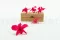 Orchidea dendrobium stabilizzata Rosa (x5) 10