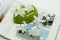 Orchidea dendrobium stabilizzata Bianco (x5) 7