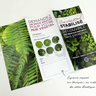 Flyer prospection &laquo;Mur V&eacute;g&eacute;tal stabilis&eacute;&raquo; (x100)