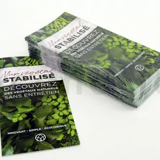 Flyer prospection &laquo;Mur V&eacute;g&eacute;tal stabilis&eacute;&raquo; (x100)