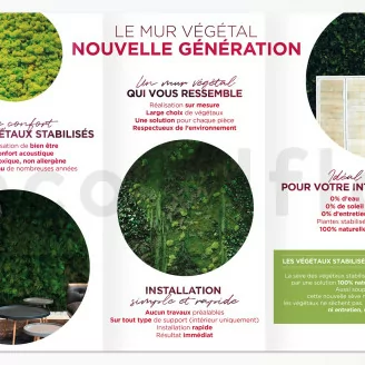 Flyer prospection &laquo;Mur V&eacute;g&eacute;tal stabilis&eacute;&raquo; (x100)